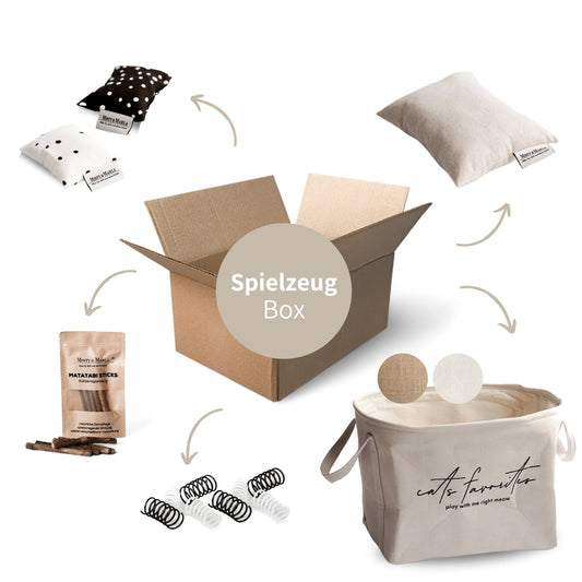 SPIELZEUG BOX